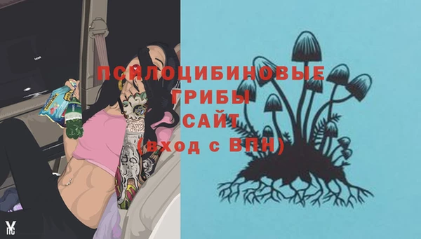 гидропоника Аркадак