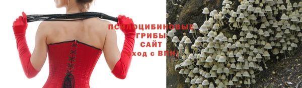 ГАЛЛЮЦИНОГЕННЫЕ ГРИБЫ Армянск