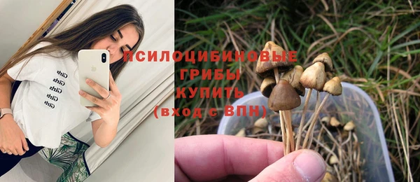 ГАЛЛЮЦИНОГЕННЫЕ ГРИБЫ Армянск