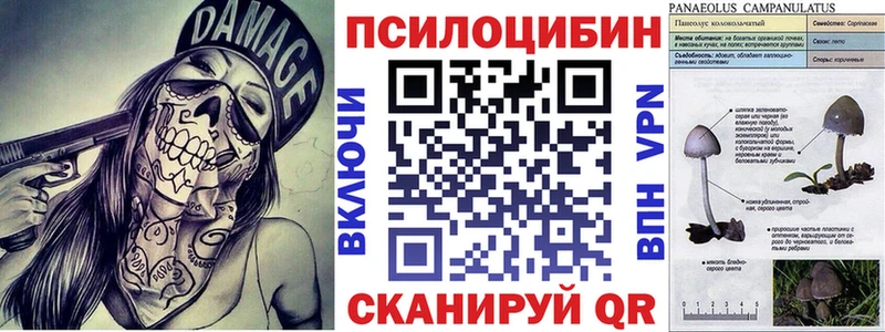 дарнет шоп  Сальск  darknet клад  Галлюциногенные грибы Psilocybe  ссылка на мегу ONION 